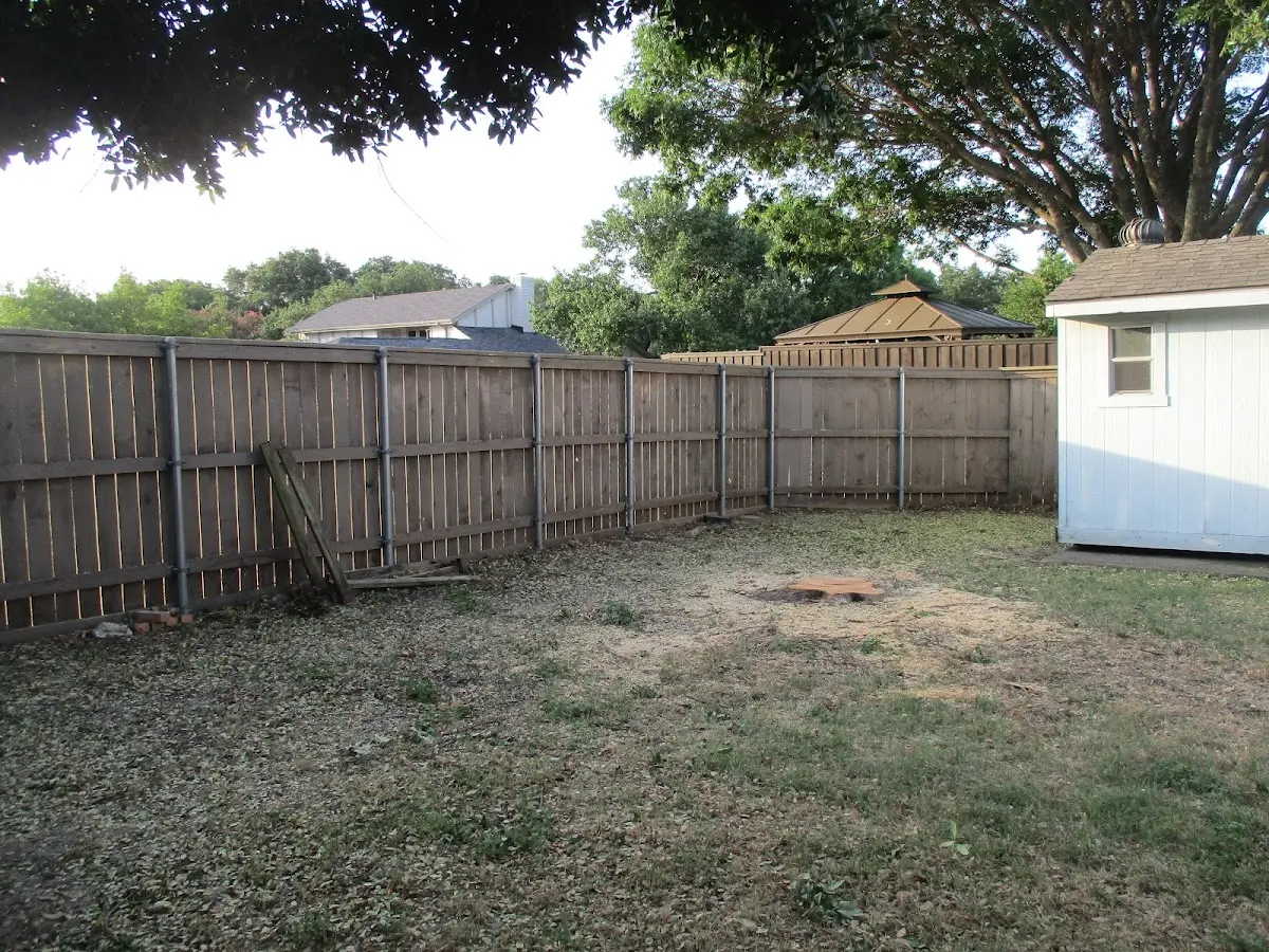 Cleared yard after professional tree removal in Kenilworth
